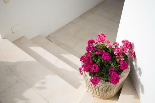 Apartamento Gama