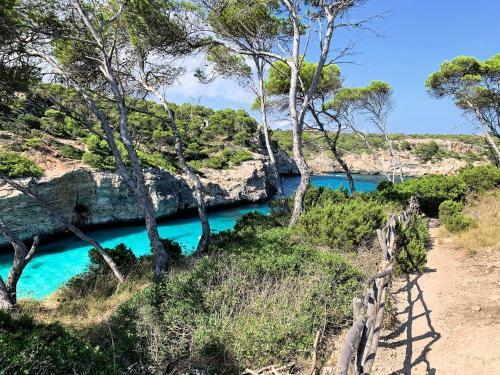 My Rent House Mallorca