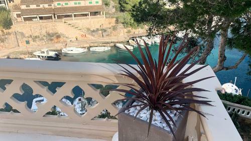 My Rent House Mallorca