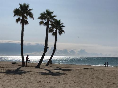 Apartamento Villaservice Roser