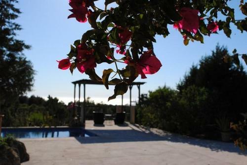 Cala Tarida Villa Sleeps 3 Pool Air Con Wifi