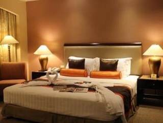 Hotel Makati Palace (deluxe)