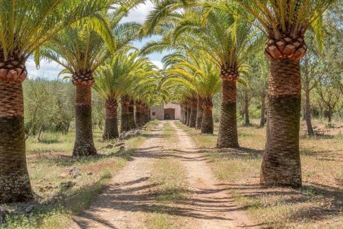 Villa S'erisal