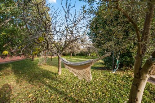 Villa Finca Can Lluc