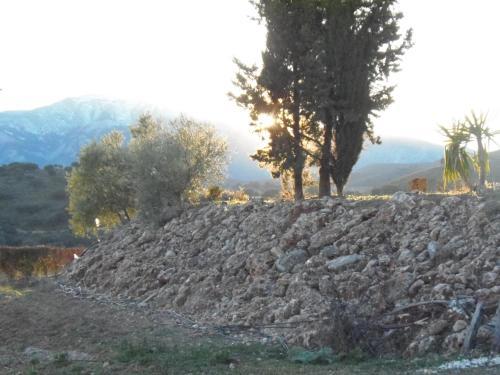 Agroturismo Cortijo Moyano