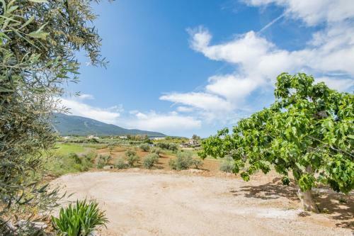 Finca La Guillena