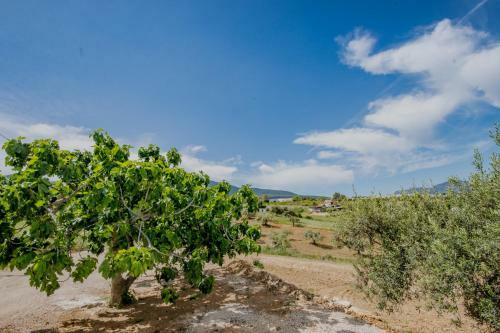 Finca La Guillena