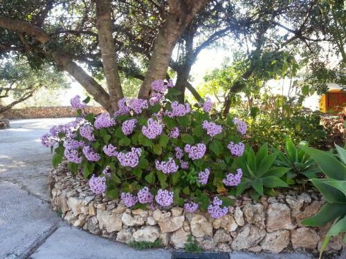Holiday Home Ctra. De Mijas