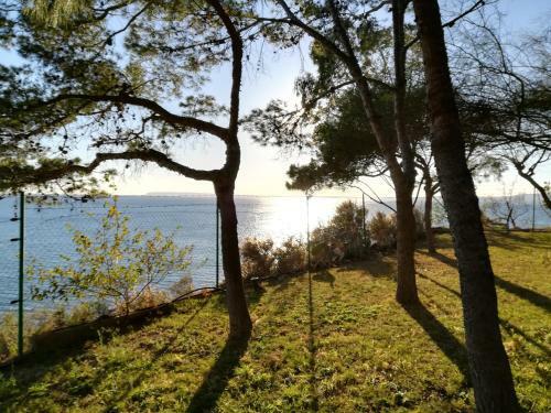 Chalet Cala Palmera