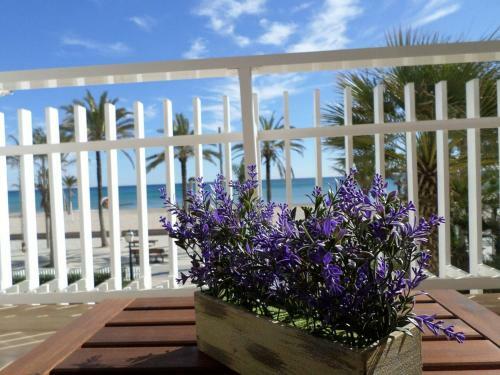 Apartamento Sunny Days