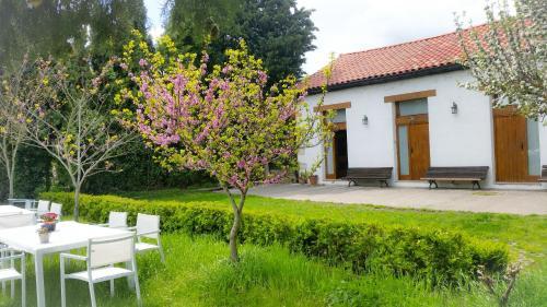 Apartamento Erotazahar1