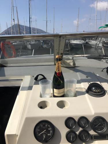 Sunseeker