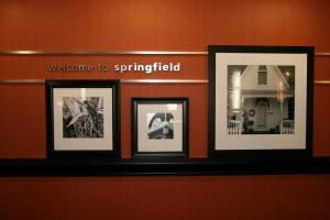Hotel Hampton Inn & Suites Springfield-southwest