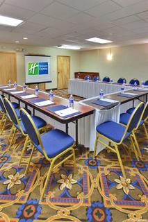 Hotel Holiday Inn Express Flint-campus Area