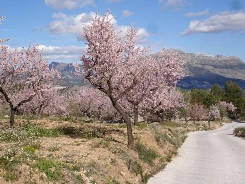 Altea Villa Sleeps 6 Pool