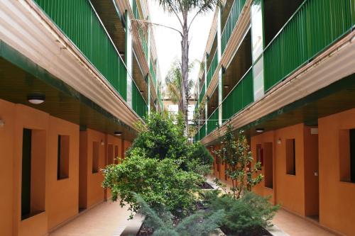 Apartament Montserrat Eucaliptus 3