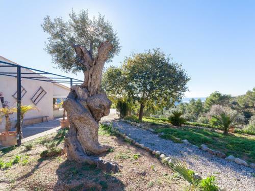 Villa V. Finca Luisa