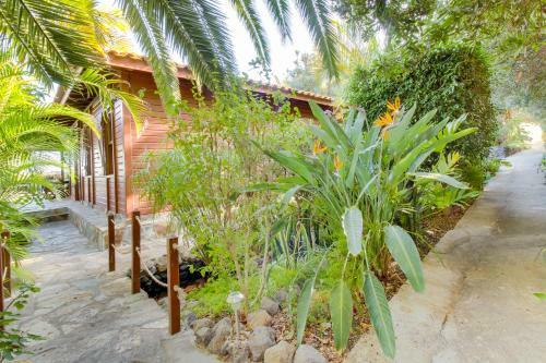 Villa Mimosa