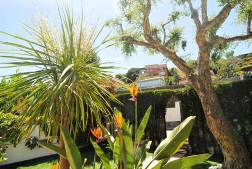 Arenys De Mar Villa Sleeps 8 Pool