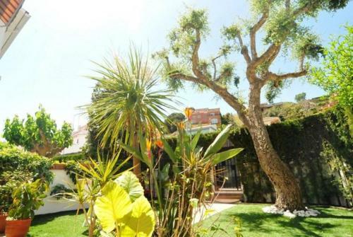 Arenys De Mar Villa Sleeps 8 Pool