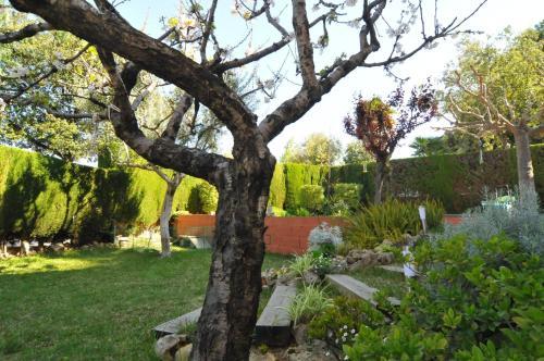 Villa Homeholidaysrentals Moai