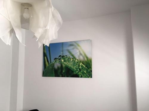 Apartamento Viva