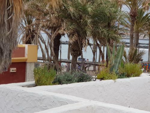 Apartamento Vila Lavanda