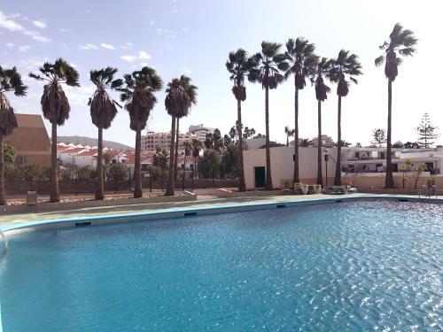 Apartamento Playa De Las Am�ricas