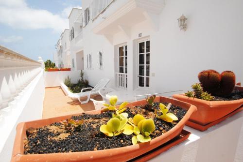 Apartamento Calma Suites La Garita