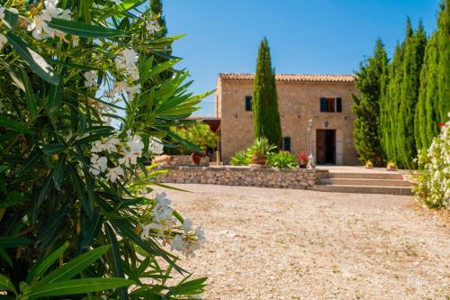 Finca Paradis Mhm