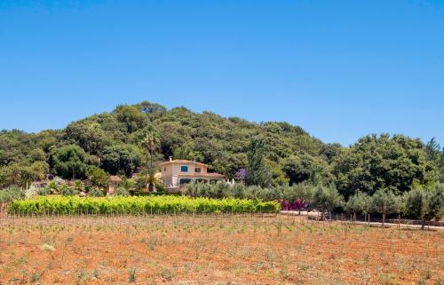 Finca Girasol On The Hill Mhm