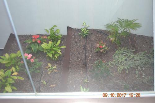 Apartamento Mapagadi