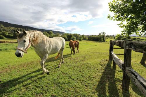 Agroturismo Casa Guillermo
