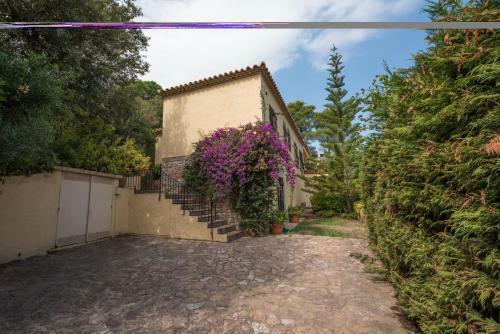 Apartamento Casa En Alquiler En Sa Riera_l0382