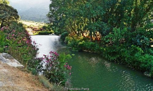 Apartment Barriada Estaci�n