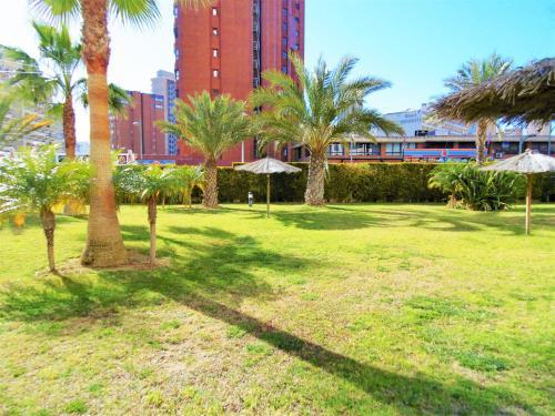 Apartamento Gemelos 26-6-e