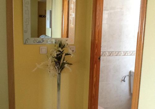Apartamentos Emperatriz Benidorm
