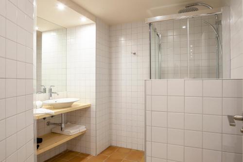 Apartamento Pirineos Suites