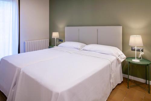 Apartamento Pirineos Suites