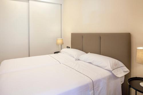 Apartamento Pirineos Suites