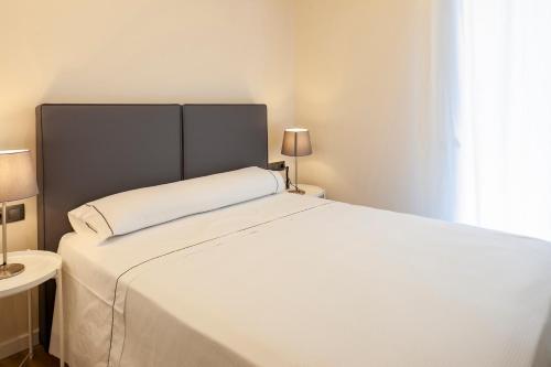 Apartamento Pirineos Suites