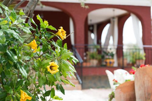 Villa House Of Dreams