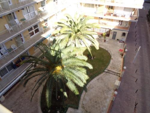 Apartamento Edificio Damara IV