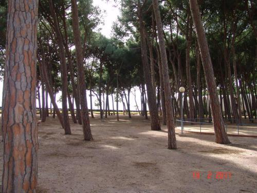 Apartamento Reus Mediterraneo