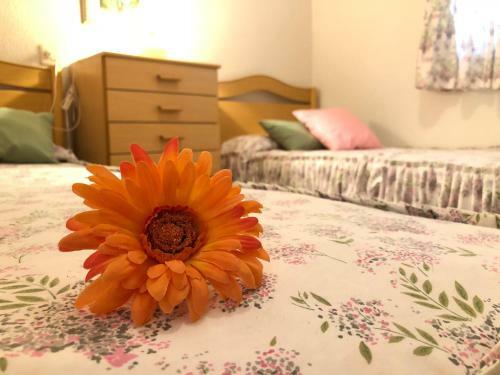 Apartamento Shg Esteve Anguera Wifi And Netflix