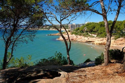 Apartment In Cambrils/costa Dorada 3941