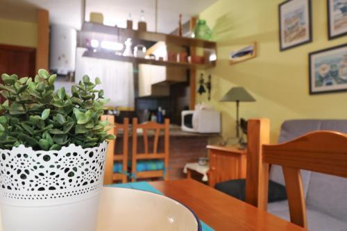 Apartbeach Tucan