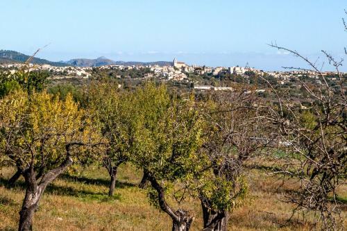 Rural Villa With Pool And Spectacular Views ? Villa Sastre