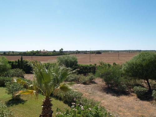 Luxury Villa Son Catlar