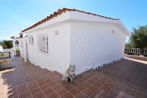 Tenerife Chayofa Carmela